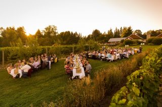 dozens of diners sitting at long tables enjoy an outdoor meal