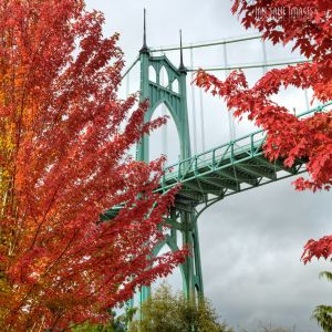 Maple trees with red leaves frame a light green bridge