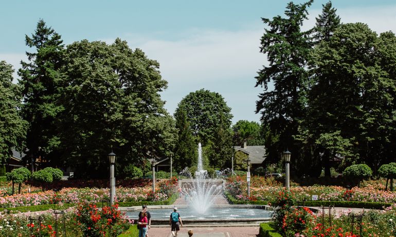 a large fountain sprays in the middle of the park, surrounded by hedges and rose bushes