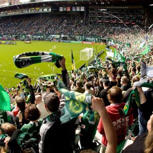 cheering fans waving flags and streamers in a crowded stadium