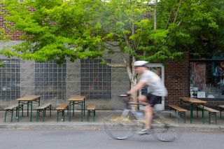 person biking down a tree-lined street