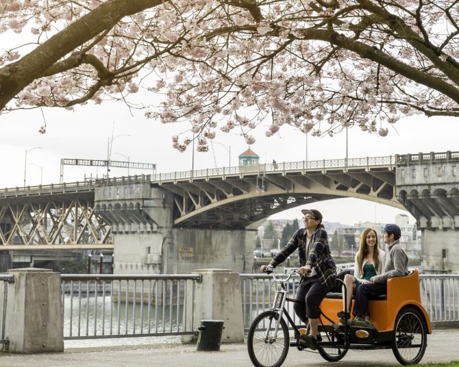 orange pedicab rides through park under backlit cherry blossoms and a view of the Burnside Bridge