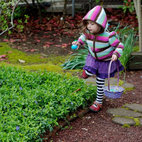 a child collecting easter treats in a basket