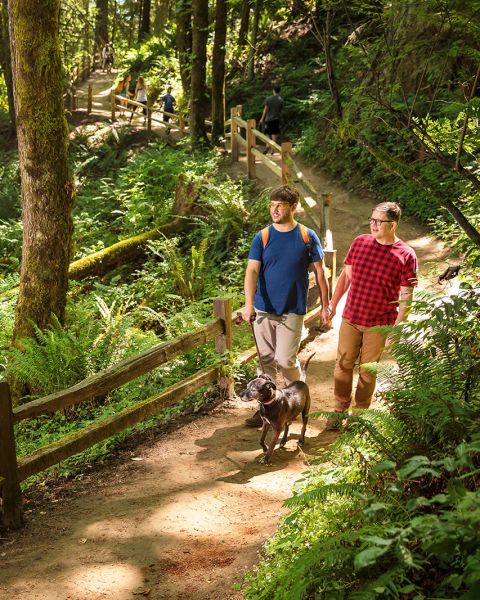 a couple walks their dog in Forest Park