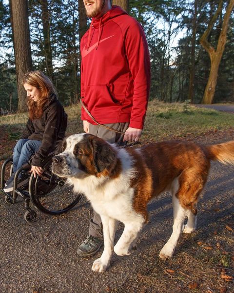 a girl in a wheelchair on nature trail with a man and a dog