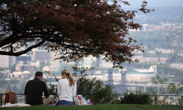 two people enjoy a picnic beneath a tree with a scenic city view