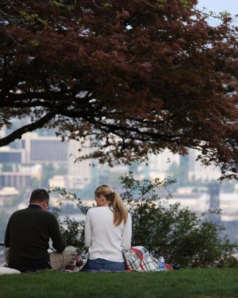two people enjoy a picnic beneath a tree with a scenic city view