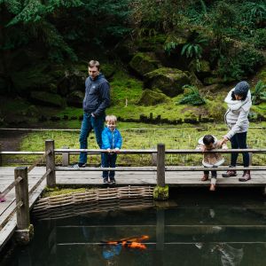 three adults and two children view koi fish in a pond