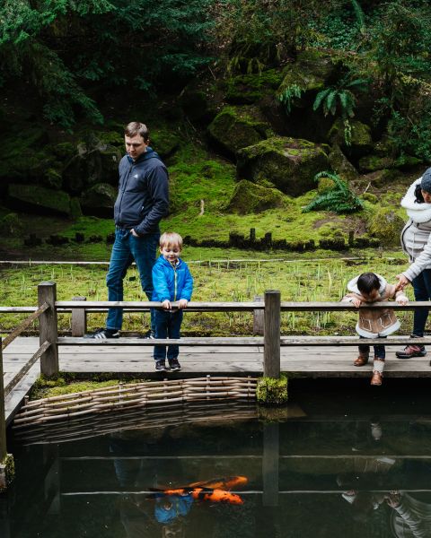 three adults and two children view koi fish in a pond