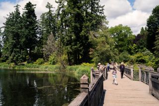 people walking over a bridge above water with trees and shrubs in the background
