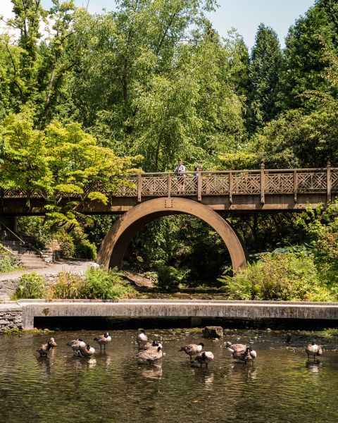 tall bridge with circular bracing above a pond with ducks amid a forested park