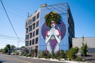 large scale colorful mural on the side of a building with a living plant component
