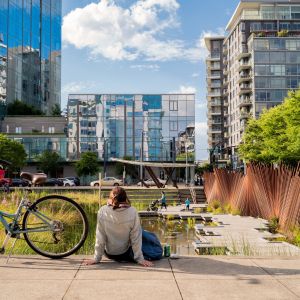 person sitting on the ground in front of a pond with a bicycle with cityscape in front and a blue sky with white clouds overhead