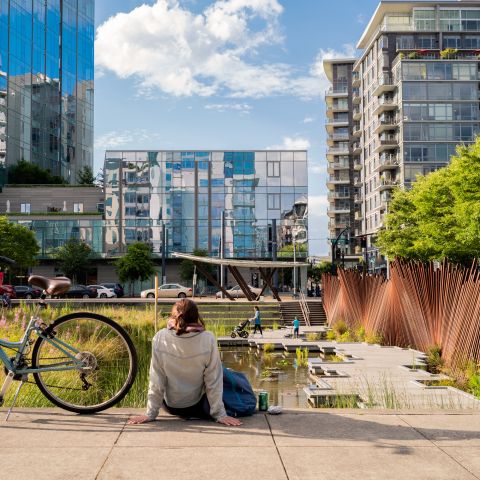 person sitting on the ground in front of a pond with a bicycle with cityscape in front and a blue sky with white clouds overhead