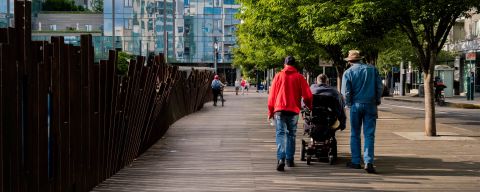 three people — one using a motorized wheelchair, two on foot — traverse a wide wooden walkway beneath flourishing green trees