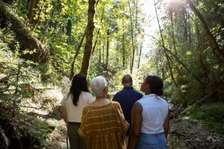 Four people walk a path in a dense forest looking away from the camera and up at the surrounding trees.