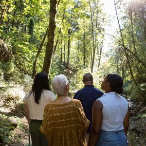 a group of people stand among the shade of tall trees along a stream in an urban forest