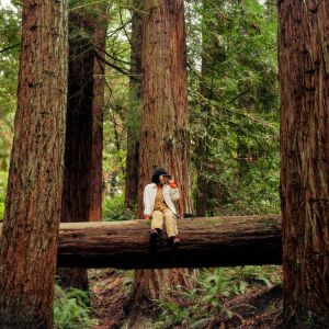 a person sits on a fallen tree and looks through binoculars