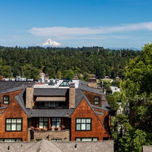 buildings in Lake Oswego beneath forested hills and blue skies with Mount Hood in the distance