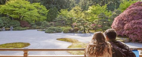 A couple sits viewing a serene flat rock garden surrounded by trees and shrubs.