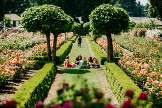 people sit in a stretch of green grass in the middle of a rose garden in full bloom