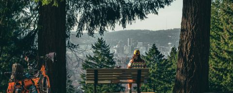 a person sits on a bench overlooking Portland at Mount Tabor Park