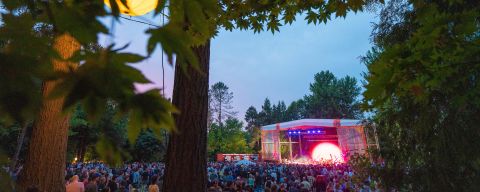 a crowd of concert goers watches a lit up stage among large, leafy trees