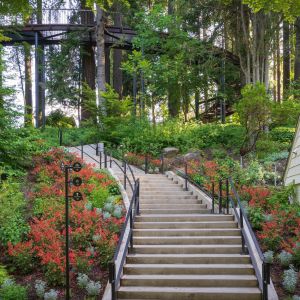 stairs up a hillside covered in bright blooms of flowers and fresh spring growth on trees