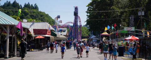 a crowd of people walking down the midway in an amusement park full of rides