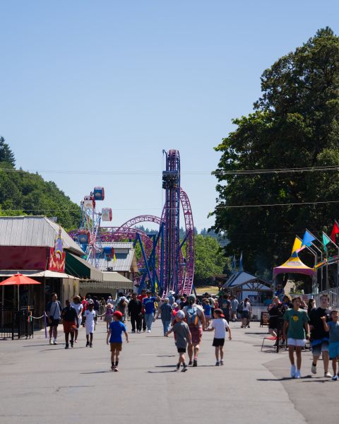 a crowd of people walking down the midway in an amusement park full of rides