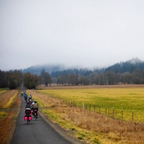 Cyclists riding towards trees beside a field on the Banks-Vernonia State Trail