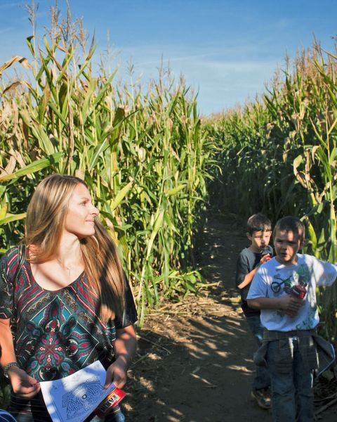 A woman and three children find their way through the tall corn at the Corn Maize at The Pumpkin Patch on Sauvie Island.