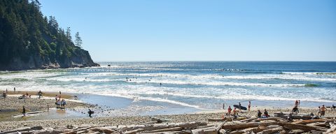 surfers and beachgoers enjoy the rugged coastline of Short Sands Beach on a sunny day