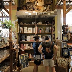 two people browse products inside a shop