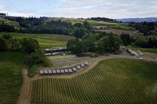 Aerial view of rolling hills with trees, vineyards, solar panels and a building
