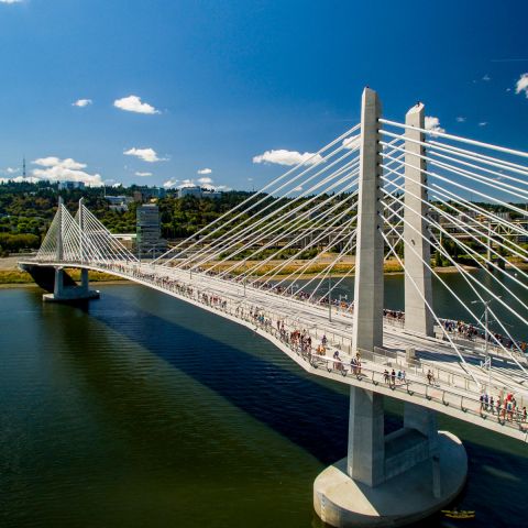 Overhead photo of Portland\'s Tilikum Crossing bridge.