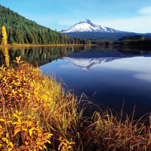 A snow-capped mountain is reflected in a lake with autumn foliage in the foreground